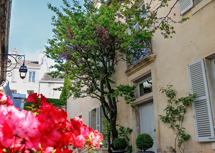 La Cour Berbisey - Teritoria 4*