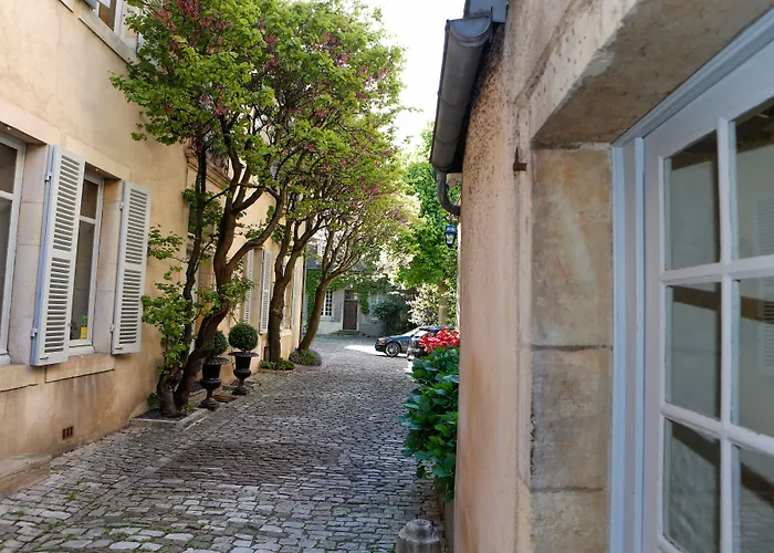 La Cour Berbisey - Teritoria ゲストハウス